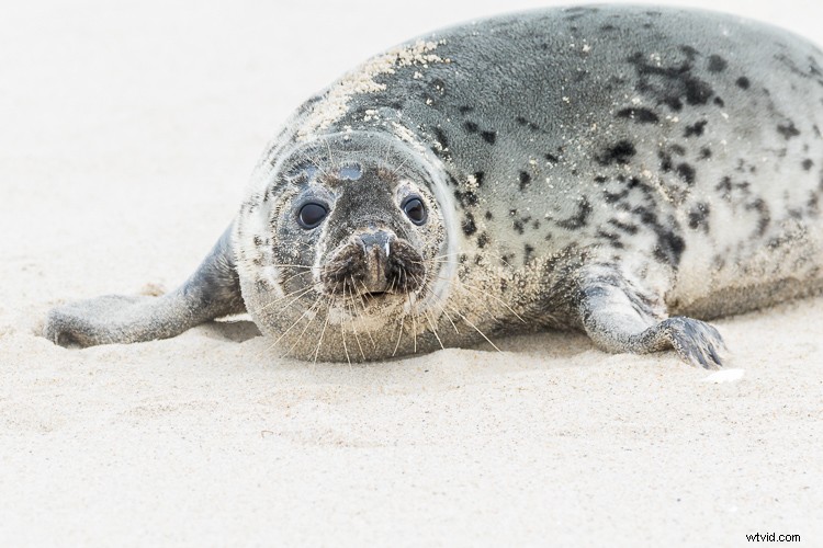 Expert Tips for Overcoming 4 Tricky Photography Challenges: What Would You Do?