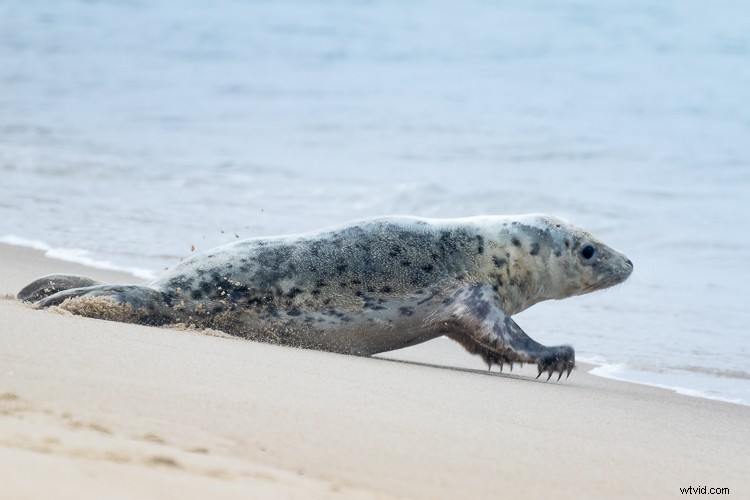 Expert Tips for Overcoming 4 Tricky Photography Challenges: What Would You Do?