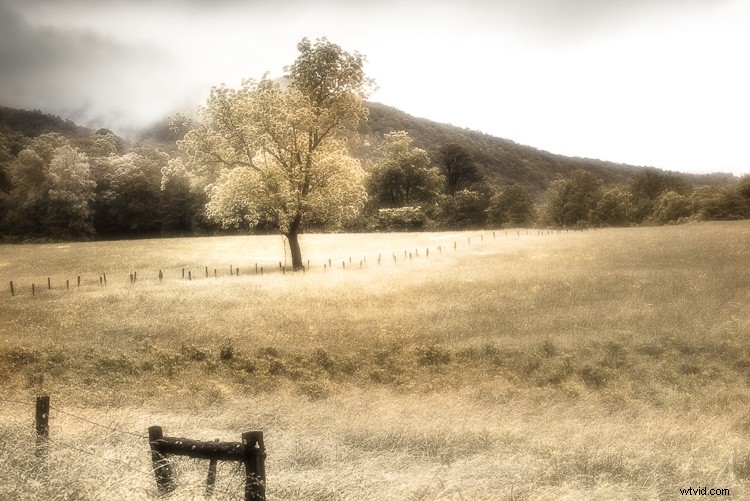 Master the Dreamy Orton Effect in Photoshop: Step-by-Step Guide