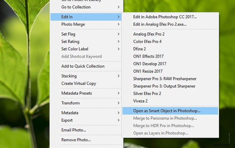 Master the Dreamy Orton Effect in Photoshop: Step-by-Step Guide