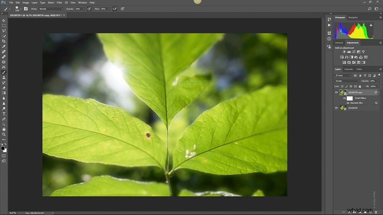Master the Dreamy Orton Effect in Photoshop: Step-by-Step Guide