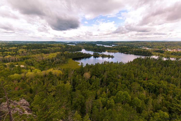 Expert Framing Tips: Craft Compelling Stories with Your Photography