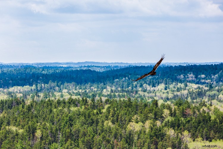 Expert Framing Tips: Craft Compelling Stories with Your Photography