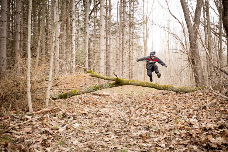 Expert Framing Tips: Craft Compelling Stories with Your Photography