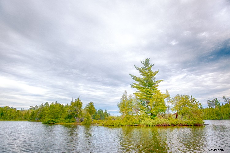 Expert Framing Tips: Craft Compelling Stories with Your Photography