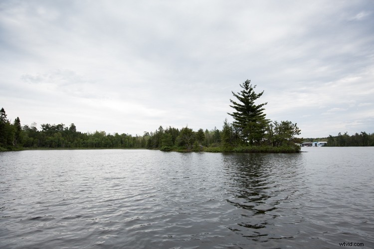 Expert Framing Tips: Craft Compelling Stories with Your Photography