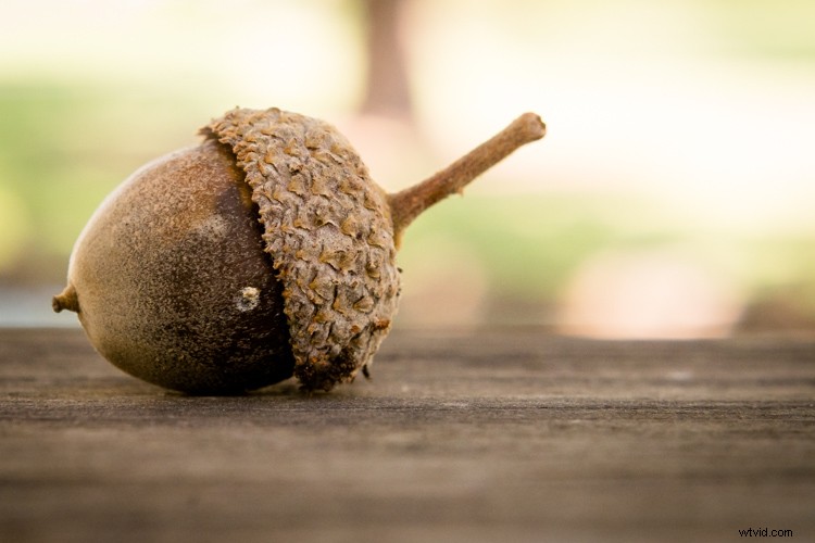 Expert Tips for Cropping Images to Master Composition