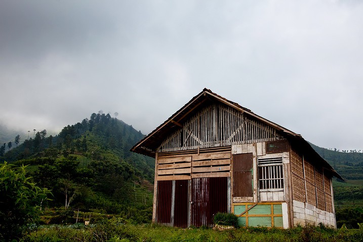 ACDSee vs. Adobe Bridge: Why ACDSee Excels for Image Culling and Workflow