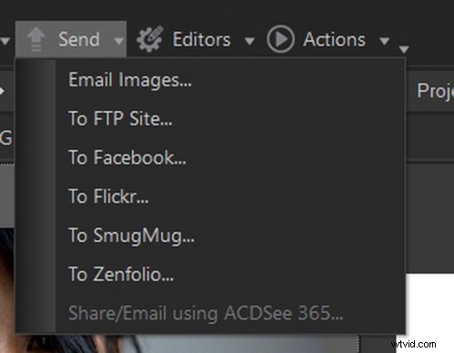 ACDSee vs. Adobe Bridge: Why ACDSee Excels for Image Culling and Workflow