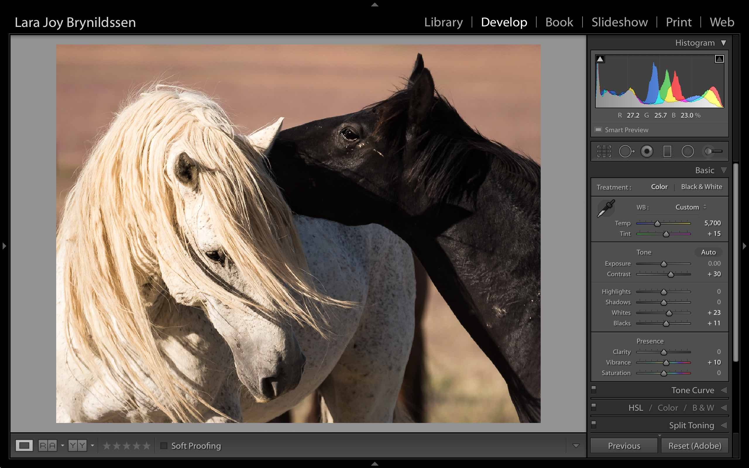 Master Photoshop s Spot Healing Brush: Quick, Pro Spot Removal Technique