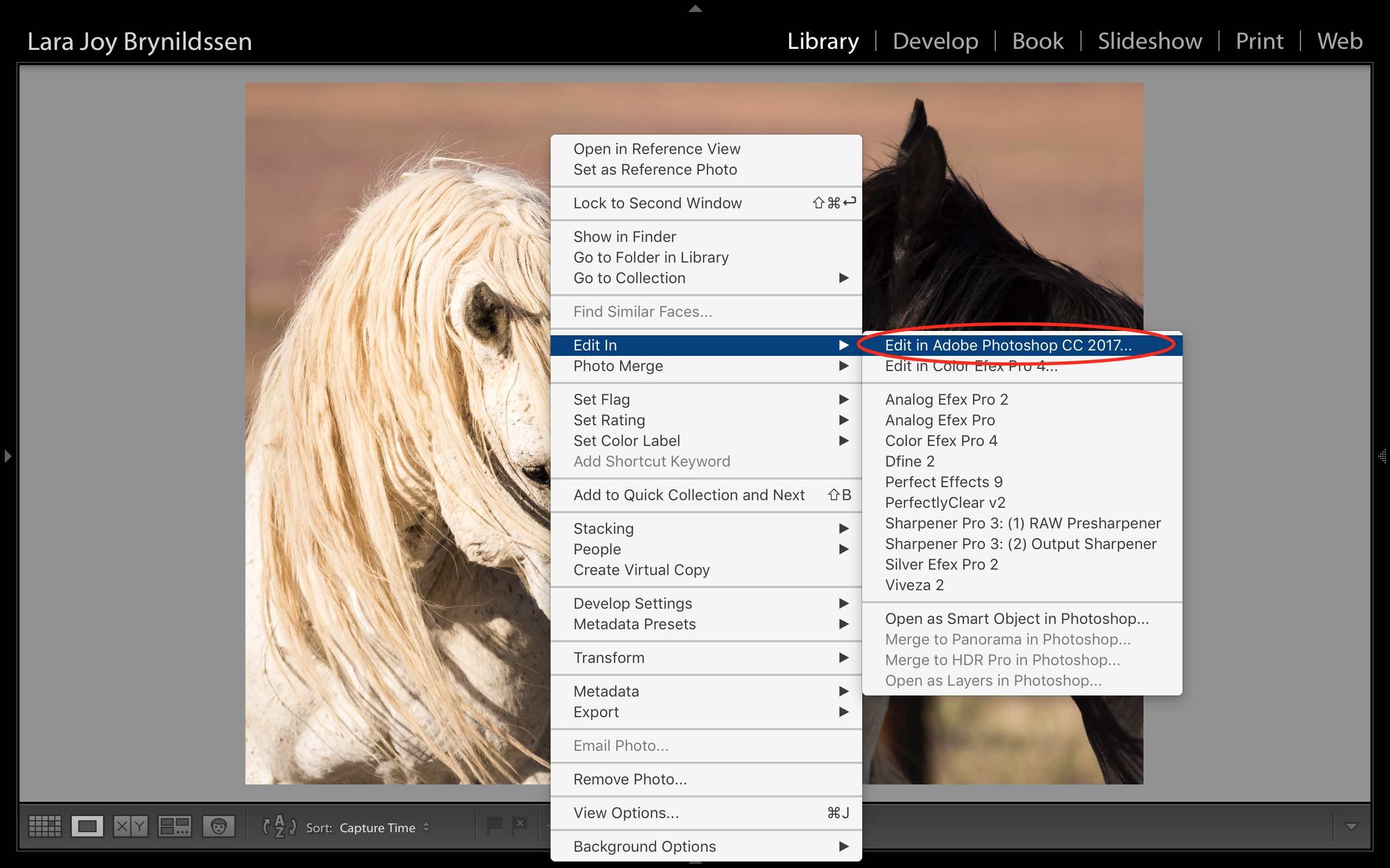 Master Photoshop s Spot Healing Brush: Quick, Pro Spot Removal Technique