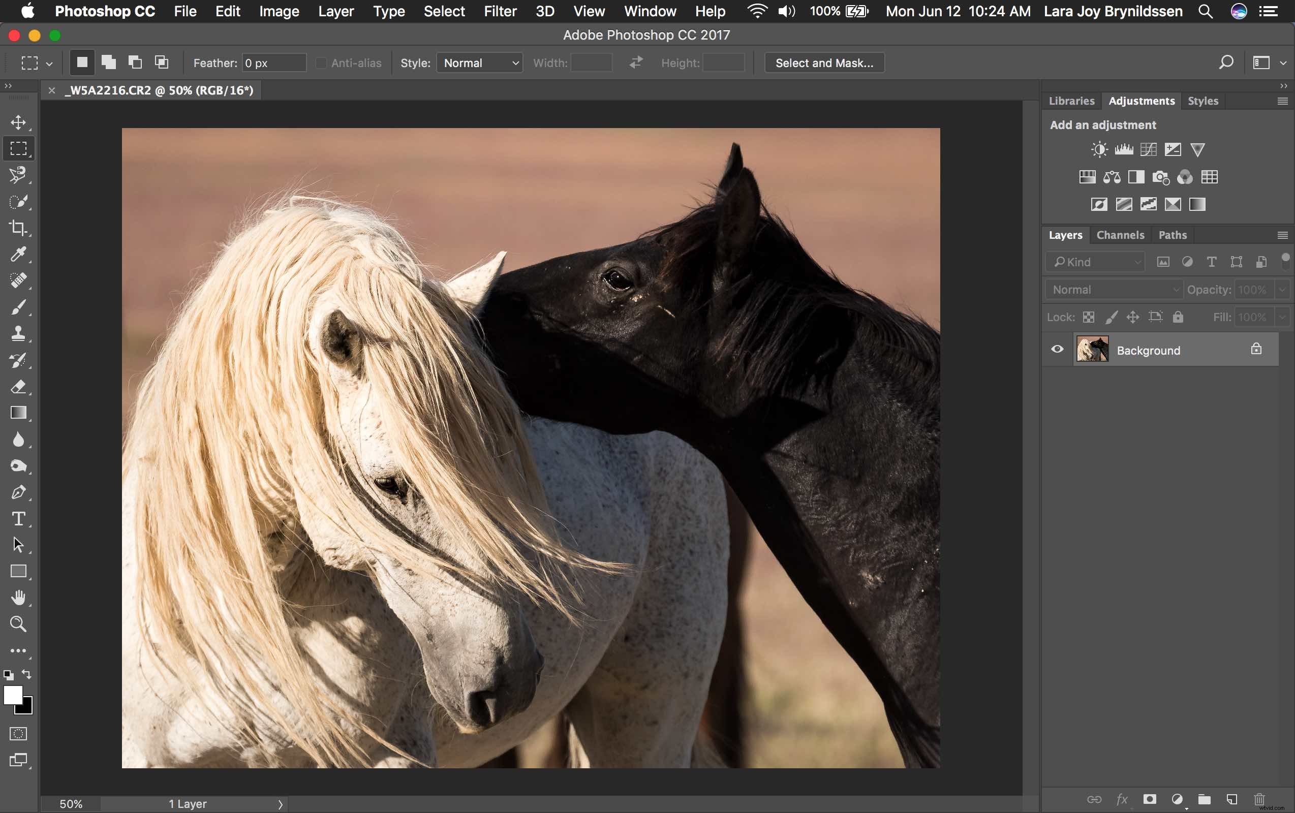 Master Photoshop s Spot Healing Brush: Quick, Pro Spot Removal Technique