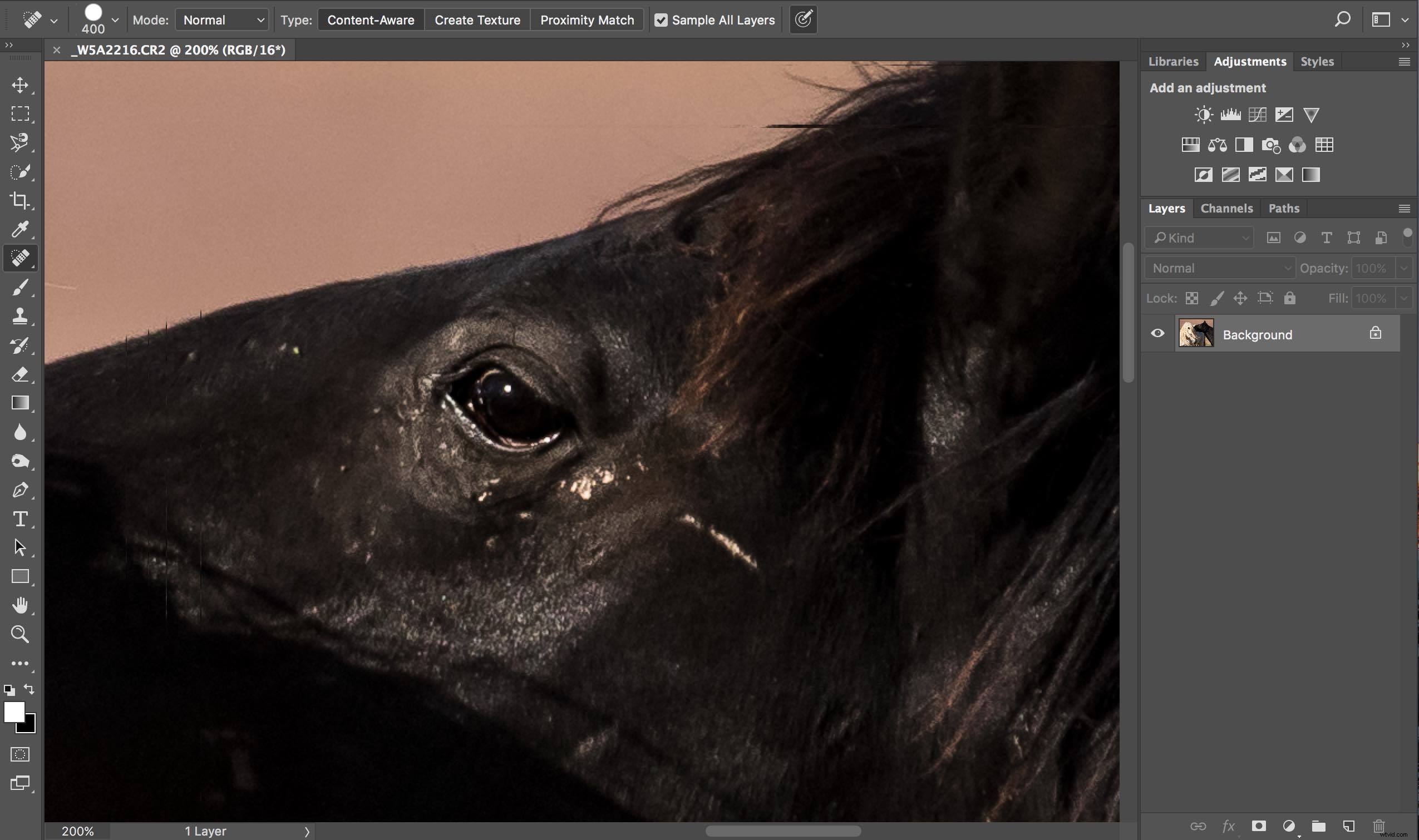 Master Photoshop s Spot Healing Brush: Quick, Pro Spot Removal Technique
