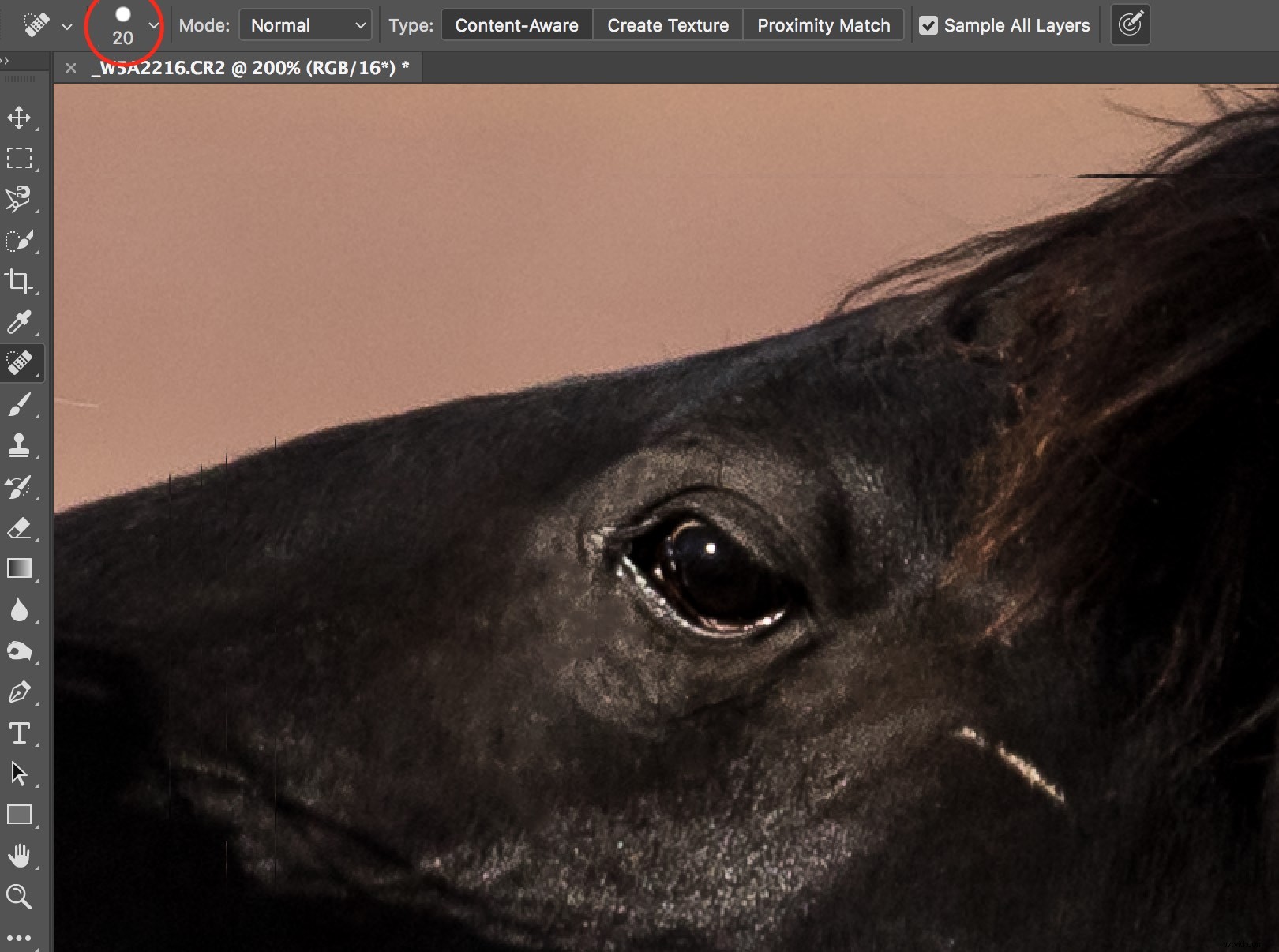 Master Photoshop s Spot Healing Brush: Quick, Pro Spot Removal Technique