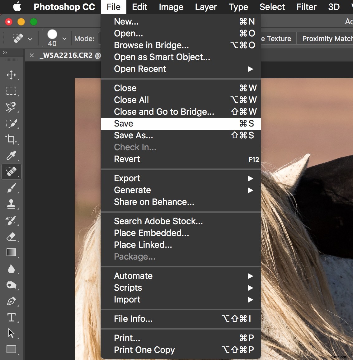 Master Photoshop s Spot Healing Brush: Quick, Pro Spot Removal Technique