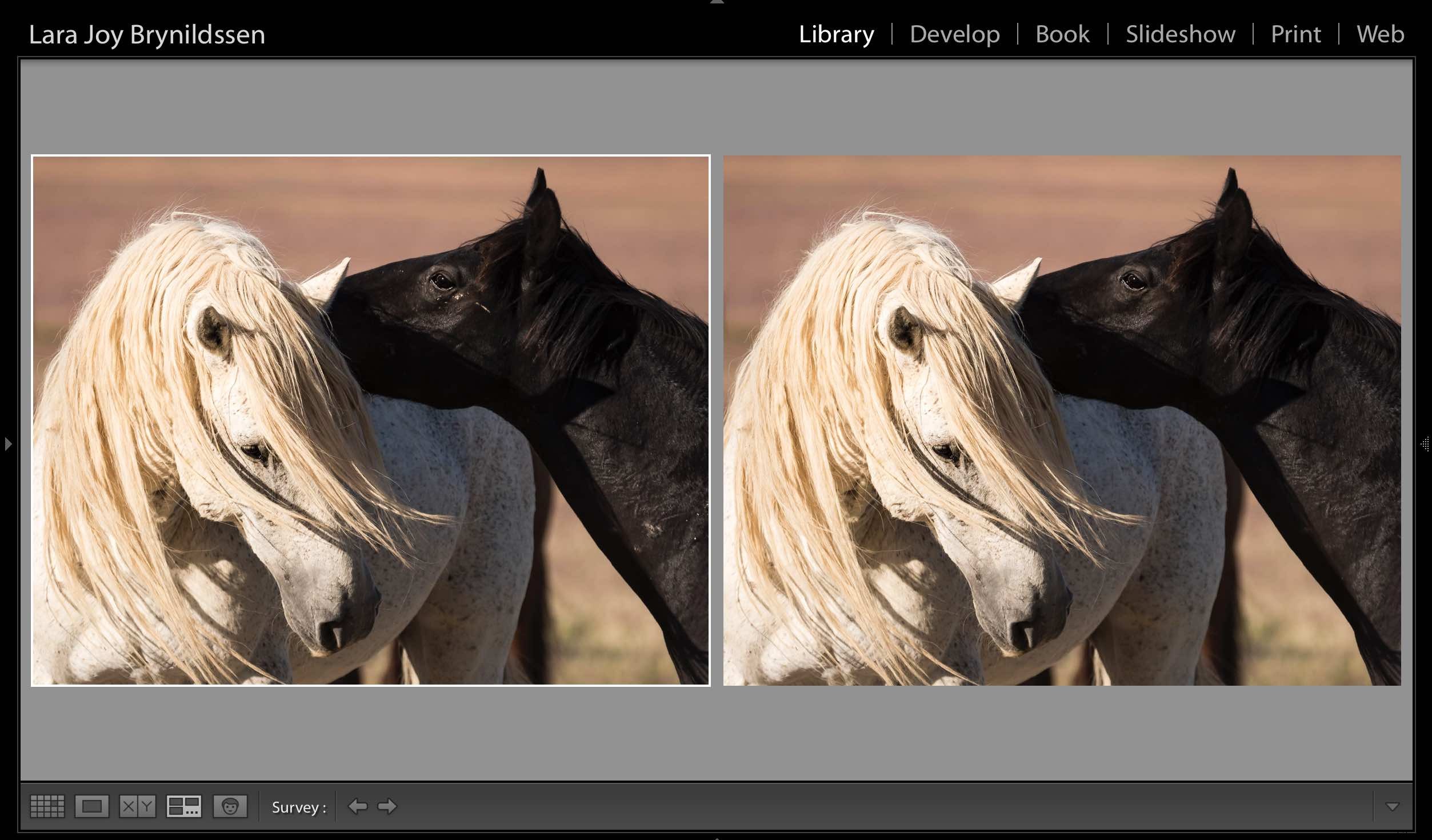 Master Photoshop s Spot Healing Brush: Quick, Pro Spot Removal Technique