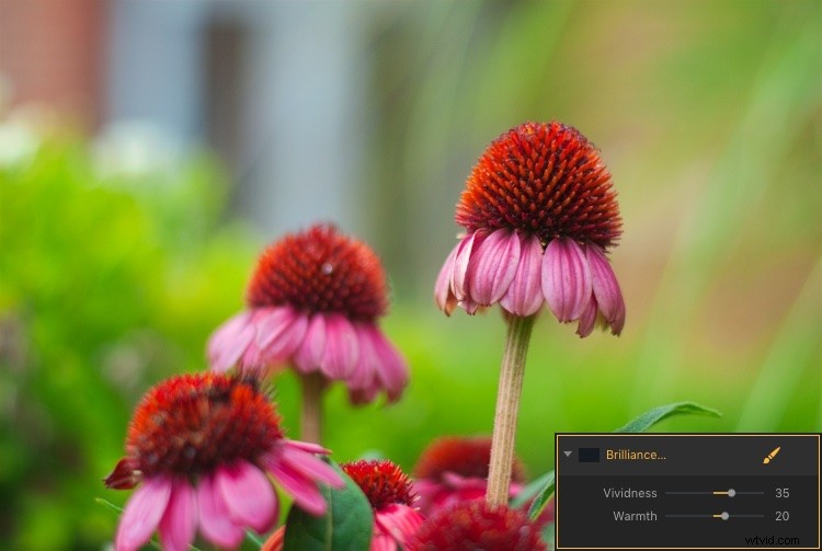 Master Filter Masks in Luminar: Unlock Precision Local Photo Adjustments