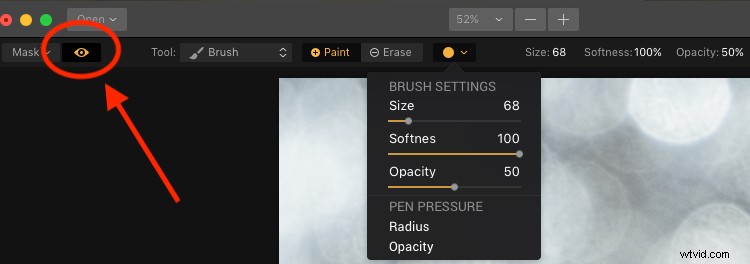 Master Filter Masks in Luminar: Unlock Precision Local Photo Adjustments