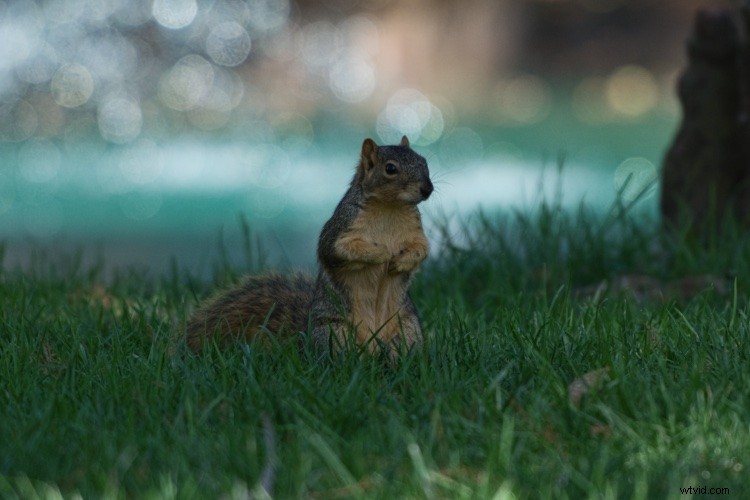 Master Filter Masks in Luminar: Unlock Precision Local Photo Adjustments