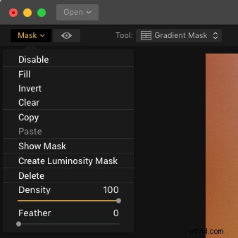 Master Filter Masks in Luminar: Unlock Precision Local Photo Adjustments