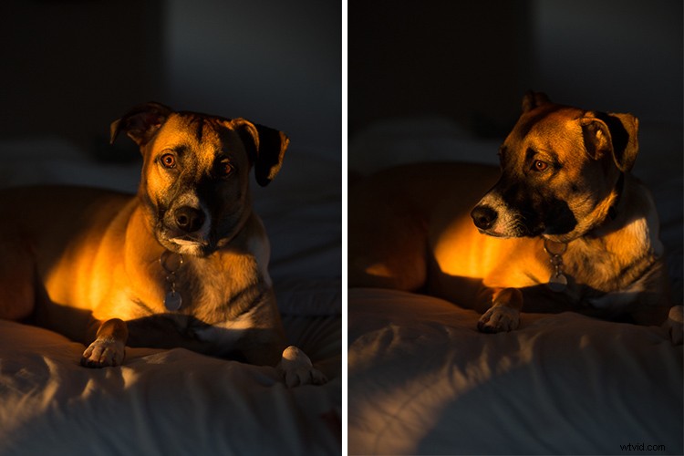 Capture Stunning Photos in Boring Places: Expert Photography Tips