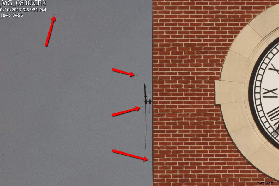 Sigma 100-400mm f/5-6.3 DG OS HSM Contemporary Lens Review: Expert Insights & Performance