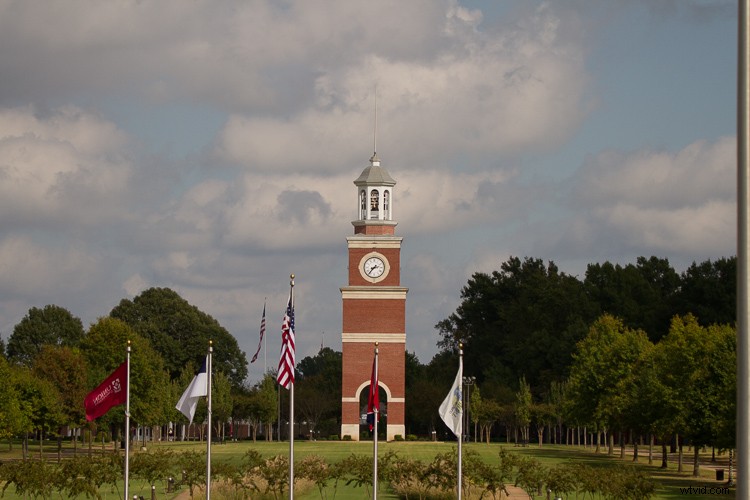 Sigma 100-400mm f/5-6.3 DG OS HSM Contemporary Lens Review: Expert Insights & Performance