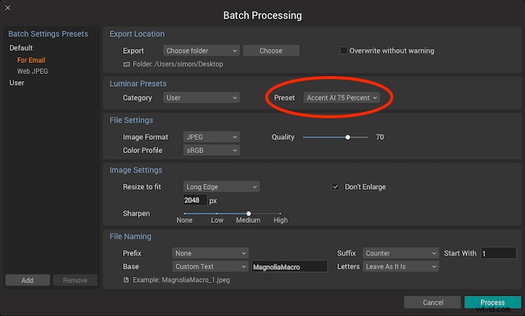 Accelerate Your Photo Editing Workflow: Luminar’s Accent AI Filter & Batch Processing Mastery