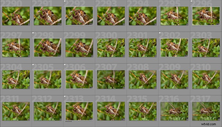 Accelerate Your Photo Editing Workflow: Luminar’s Accent AI Filter & Batch Processing Mastery