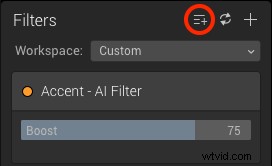 Accelerate Your Photo Editing Workflow: Luminar’s Accent AI Filter & Batch Processing Mastery
