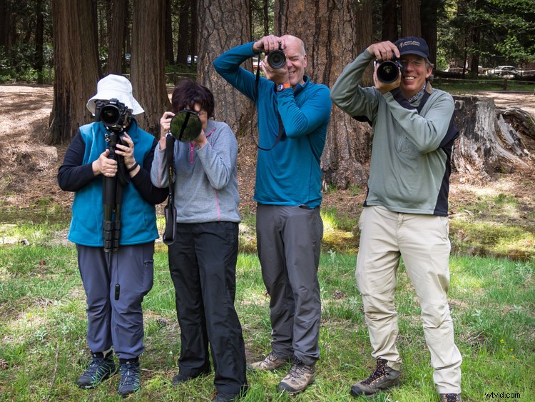 Unlock Surprising Benefits: Why Learn Digital Photography Today