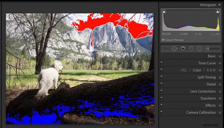 Embrace Photo Post-Processing: Shooting is Just the First Step to Stunning Images