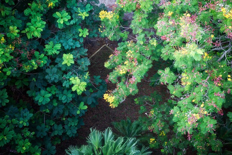 3 Ways Luminar Simplifies Your Photo Post-Processing Challenges