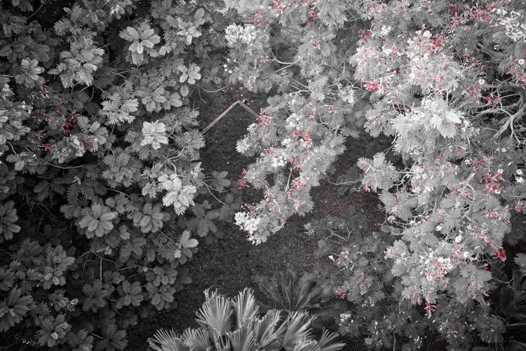 3 Ways Luminar Simplifies Your Photo Post-Processing Challenges