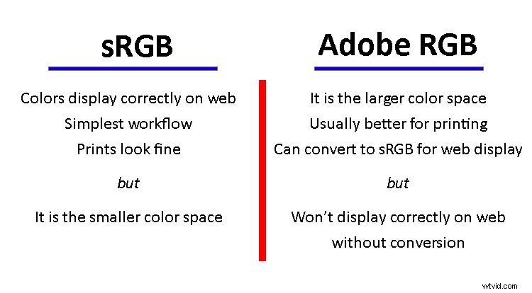Adobe RGB vs sRGB: Which Color Space Should You Choose for Your Camera?