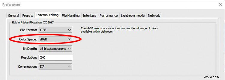 Adobe RGB vs sRGB: Which Color Space Should You Choose for Your Camera?