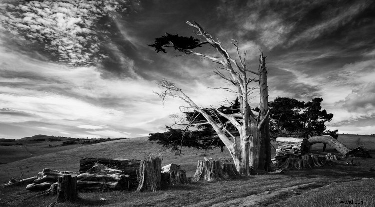 Master Monochrome Photography: 9 Essential Tips to Train Your Eye