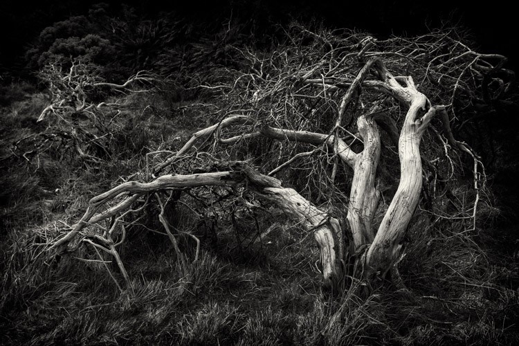 Master Monochrome Photography: 9 Essential Tips to Train Your Eye