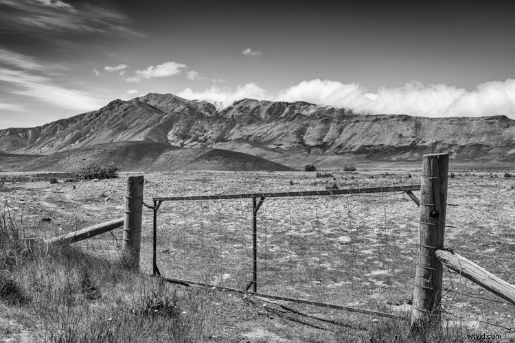 Master Monochrome Photography: 9 Essential Tips to Train Your Eye