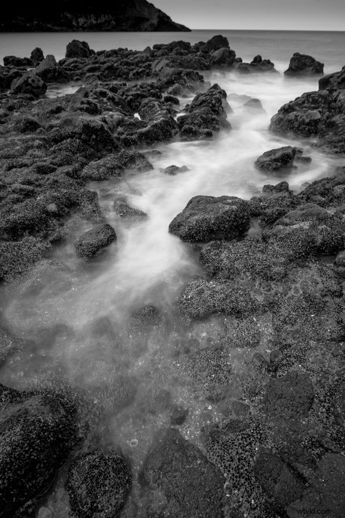 Master Monochrome Photography: 9 Essential Tips to Train Your Eye