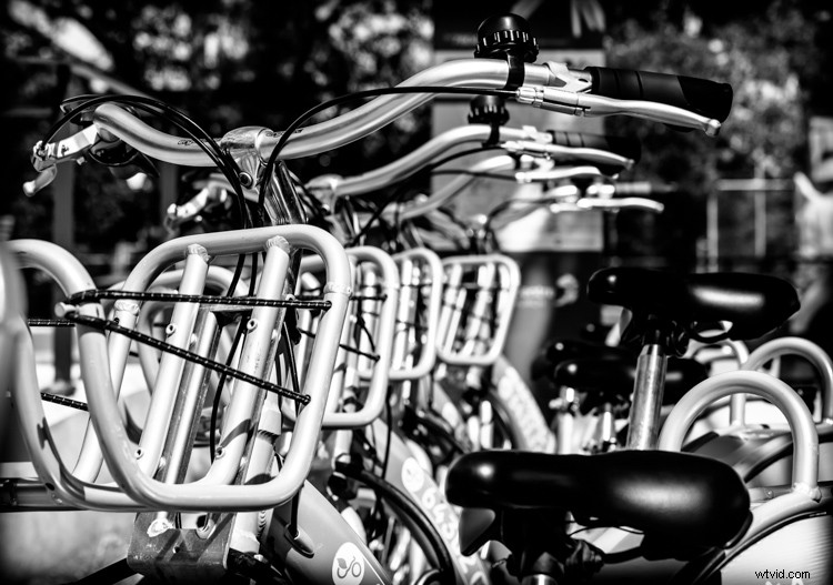 Master Monochrome Photography: 9 Essential Tips to Train Your Eye