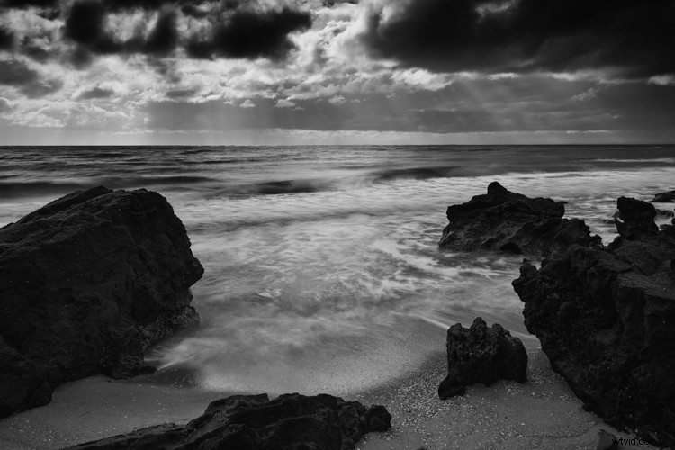 Master Monochrome Photography: 9 Essential Tips to Train Your Eye