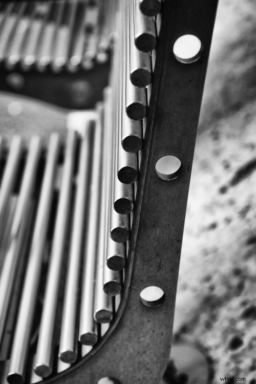 Master Monochrome Photography: 9 Essential Tips to Train Your Eye