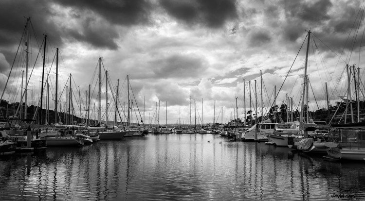 Master Monochrome Photography: 9 Essential Tips to Train Your Eye