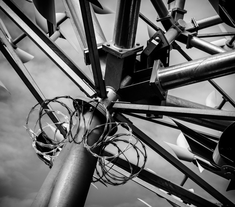 Master Monochrome Photography: 9 Essential Tips to Train Your Eye