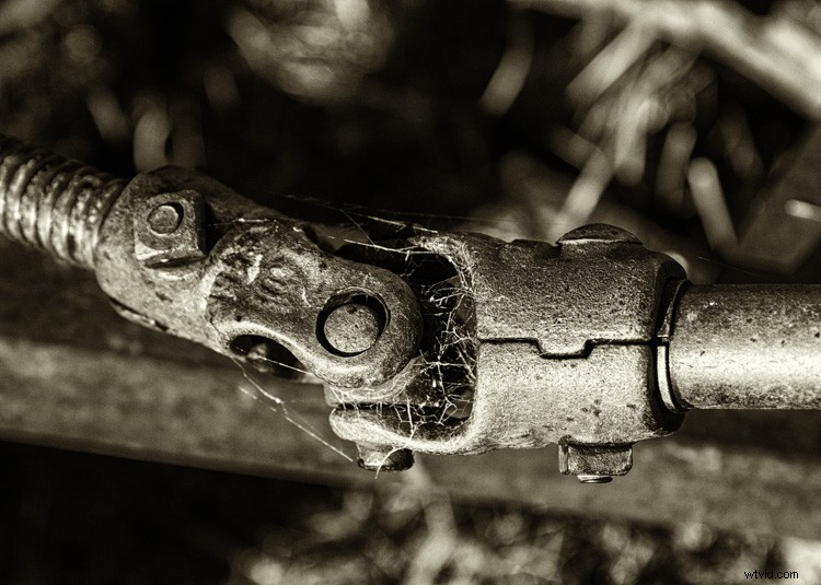 Master Monochrome Photography: 9 Essential Tips to Train Your Eye