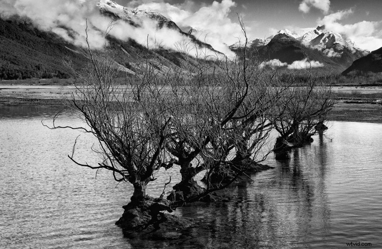 Master Monochrome Photography: 9 Essential Tips to Train Your Eye