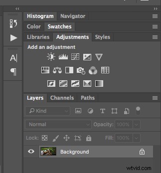 Luminar vs. Photoshop: In-Depth Comparison Guide – Which Photo Editor is Best for You?