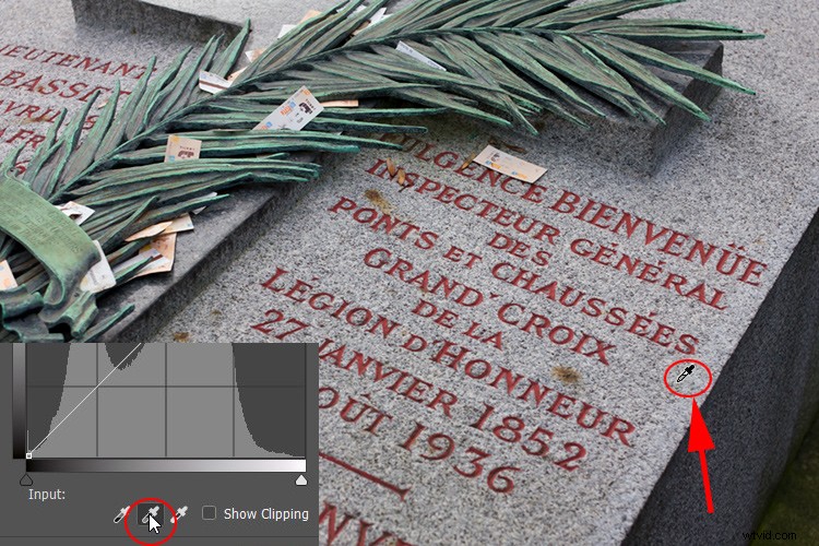 Master Color Correction in Photoshop: Ultimate Curves Tool Guide