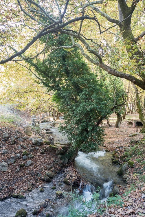 Nikon D750 vs D7100 vs D5100: In-Depth DSLR Comparison for Every Budget